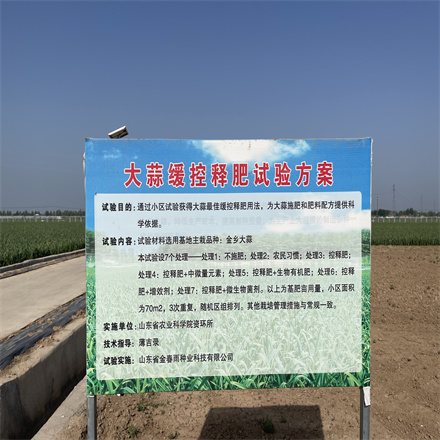 大蒜緩控釋肥試驗