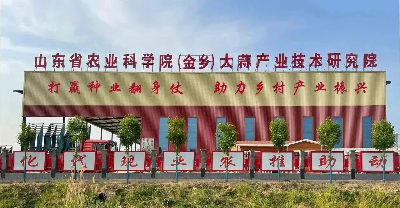 新老結對傳幫帶，凝心聚力譜新篇