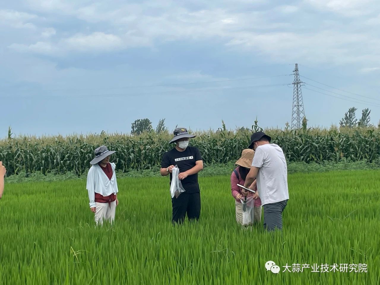土壤改良修復項目取得階段性成果