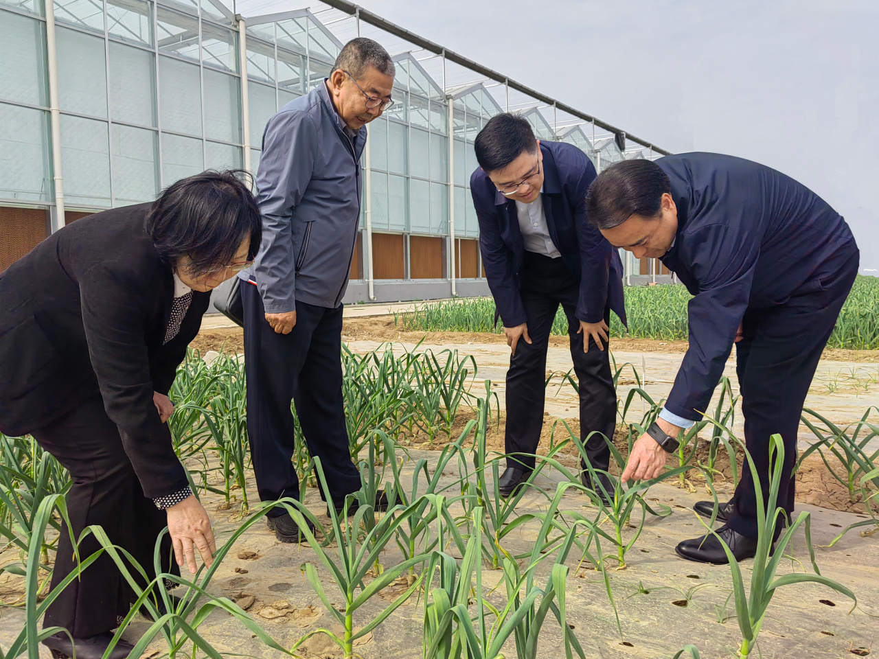 三亞電子加速器誘變育種實驗室領導蒞臨金春雨種業考察交流
