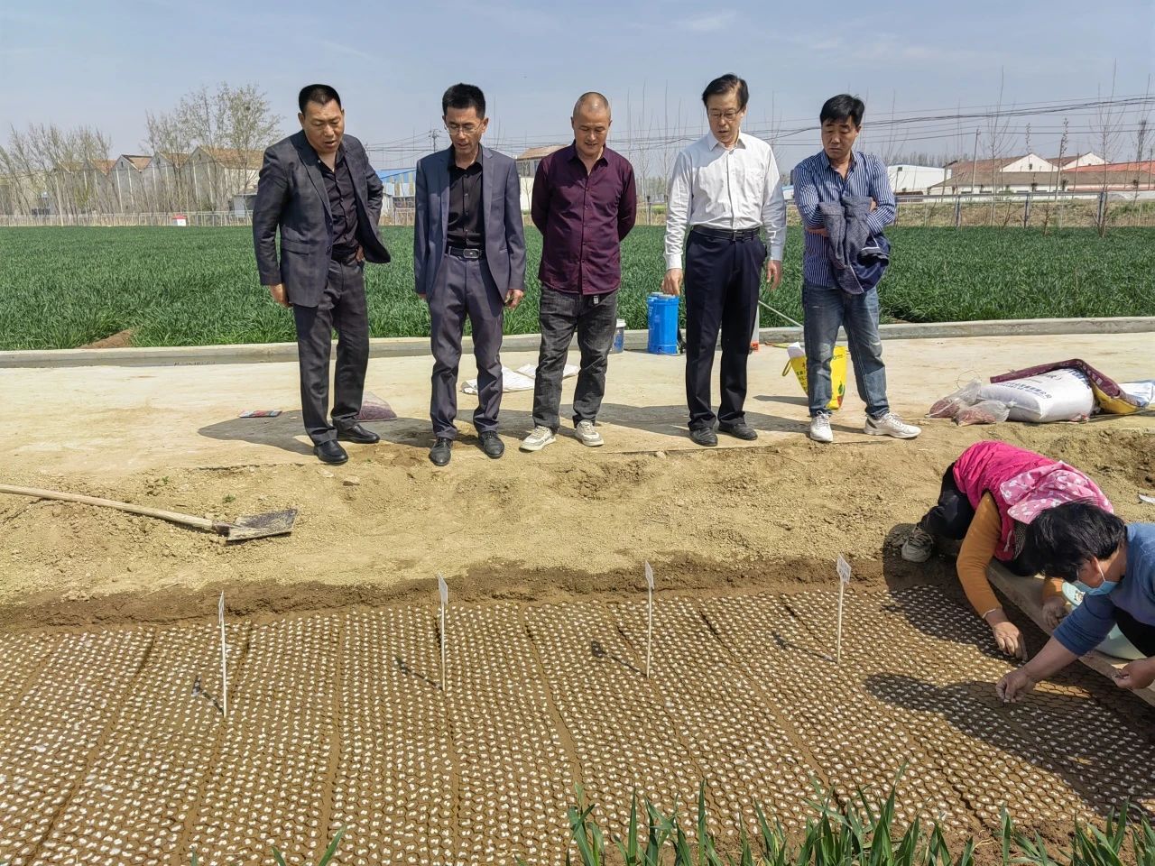 金春雨科技與市質檢院攜手推進黃河流域棉花試點項目工作