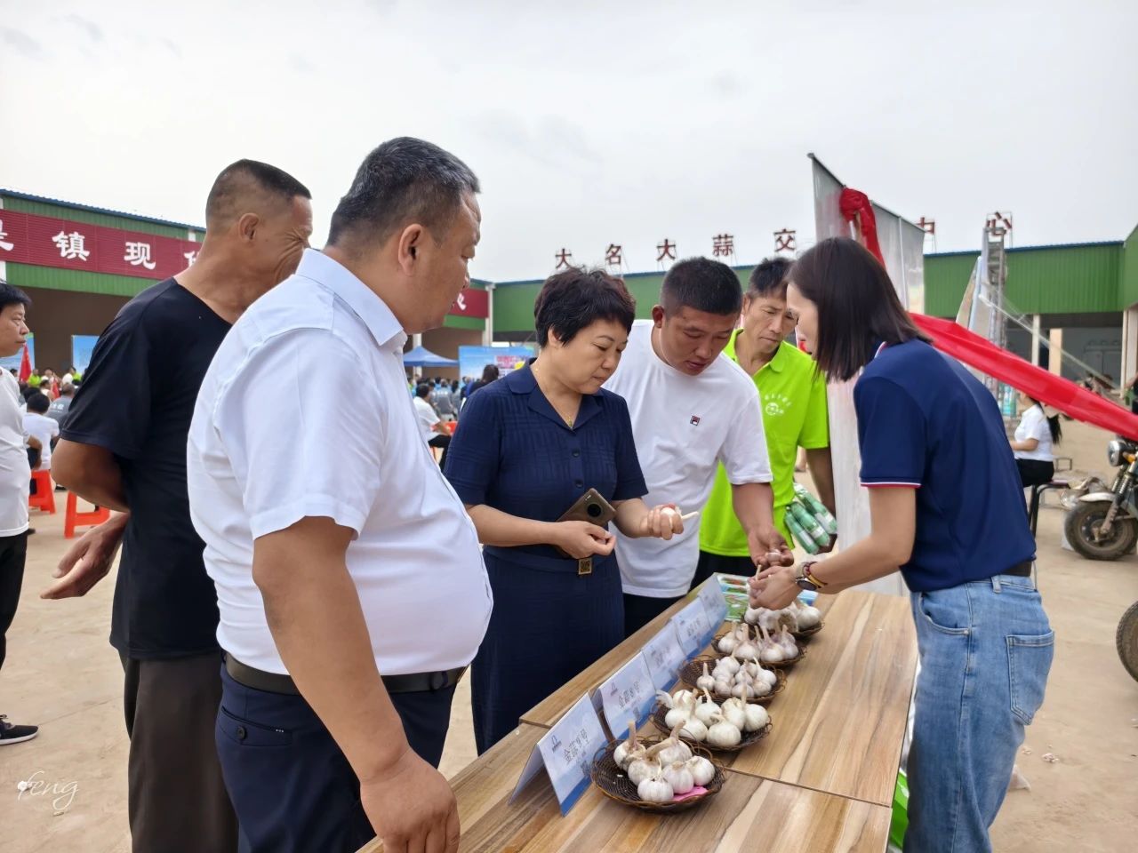 金春雨種業受邀參加大名縣第二屆大蒜文化節——開啟蒜種繁育合作新篇章