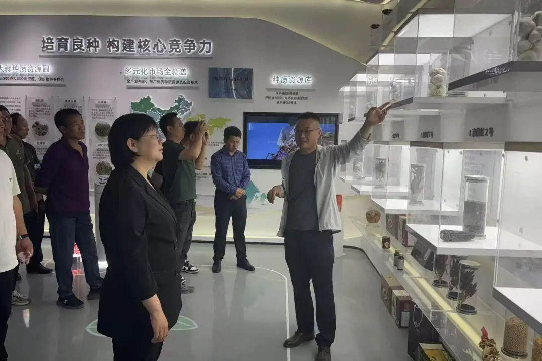 濰坊市安丘市官莊鎮鎮長崔君梅一行調研金春雨種業，共探種業創新與鄉村振興新路徑